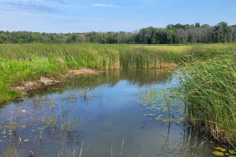 Presqu'ile Provincial Park