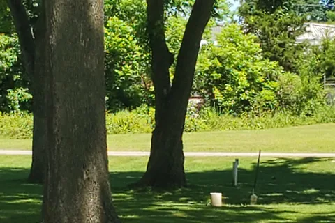 Hardy RV Park