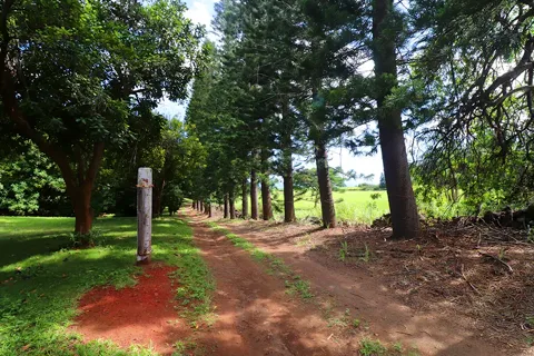 Hawaii's Best Campspot