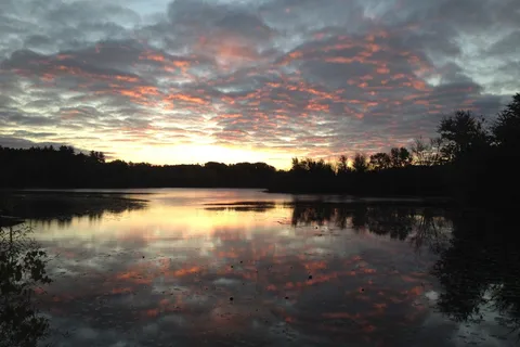 Pine Crest RV Park