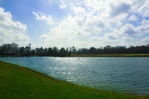 Junction Meadows