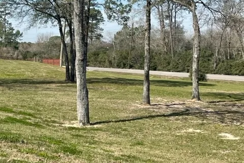 Junction Meadows
