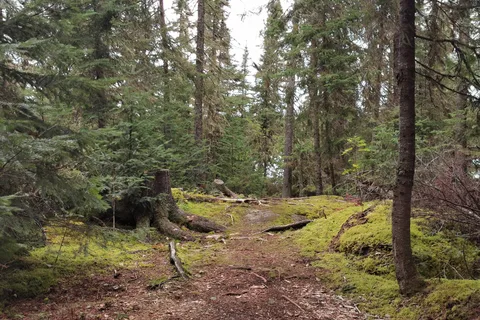 Fushimi Lake Provincial Park