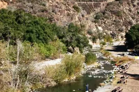 Camp Williams Resort