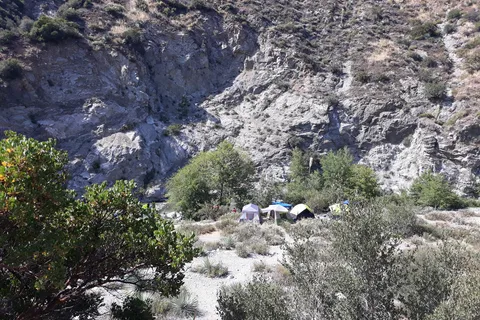 Camp Williams Resort