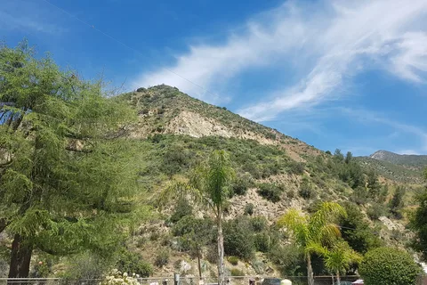 Camp Williams Resort