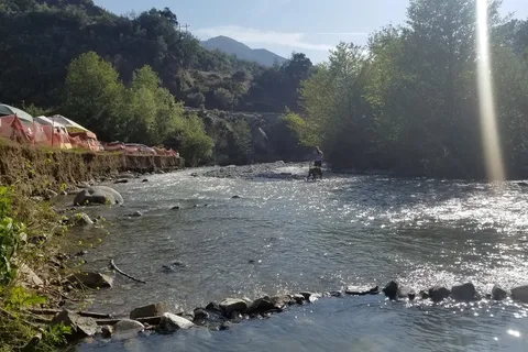 Camp Williams Resort
