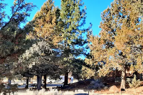 American Eagle RV Park