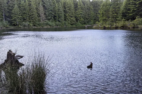 Western Lakes - Department of Natural Resources