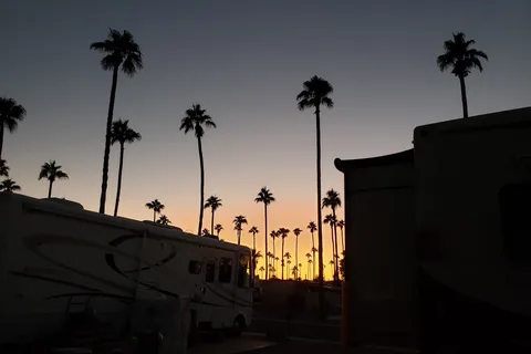 Royal Palms
