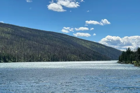 Marigold Fishing Resort