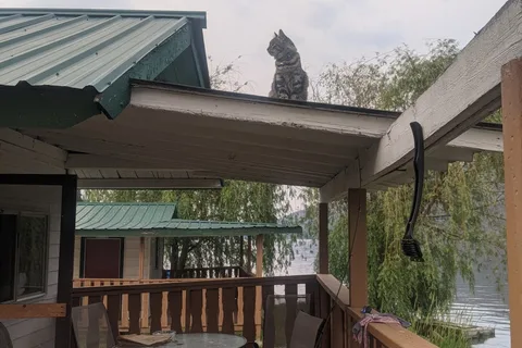 Marigold Fishing Resort