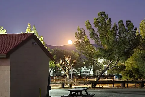 Lone Wolf Colony