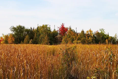 Emily Provincial Park