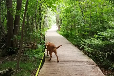 Emily Provincial Park