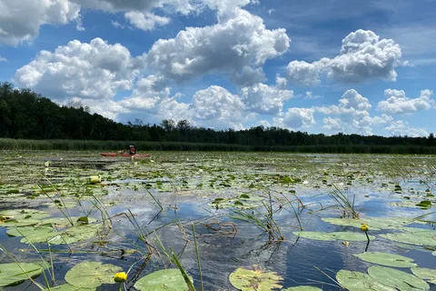 Emily Provincial Park