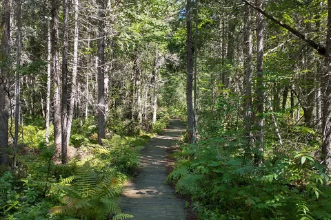 Marten River Provincial Park