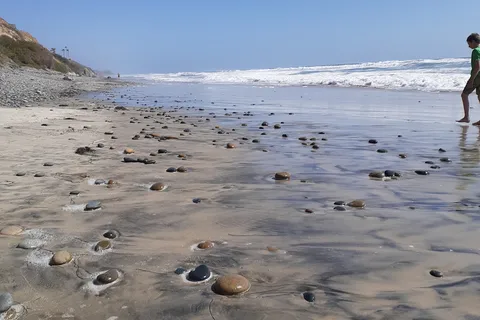 South Carlsbad State Beach Campground