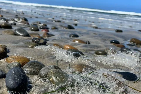 South Carlsbad State Beach Campground