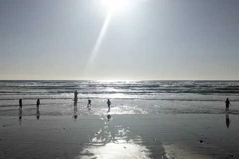 South Carlsbad State Beach Campground
