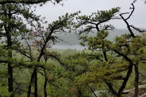 Hurd State Park