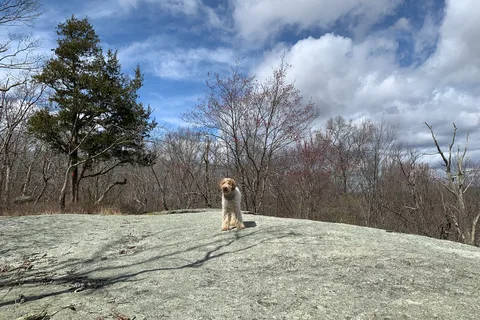 Hurd State Park