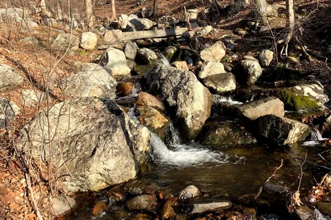 Hurd State Park