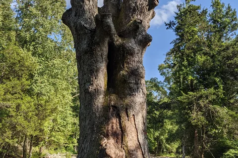Hurd State Park