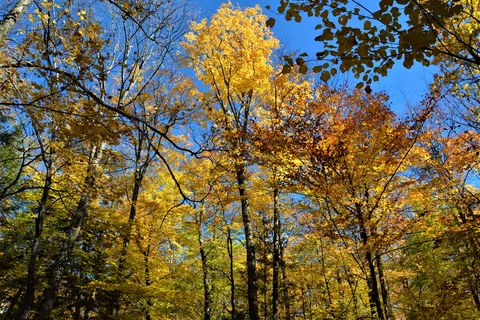 Parc provincial Silent Lake