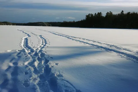Parc provincial Silent Lake