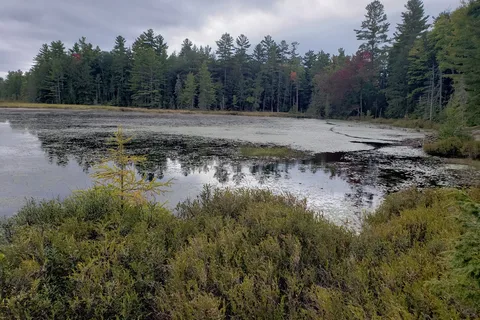 Parc provincial Silent Lake