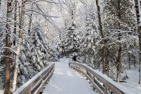 Parc provincial Silent Lake