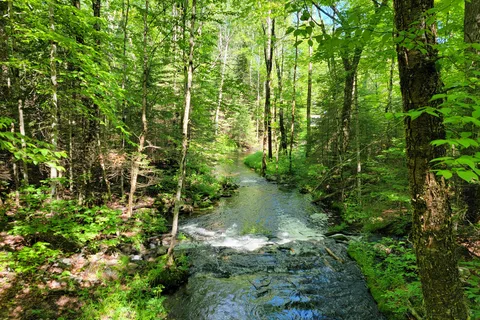 Parc provincial Silent Lake