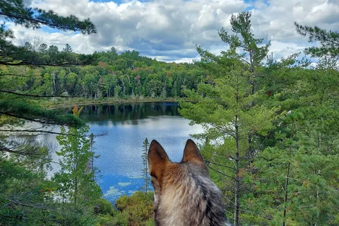 Parc provincial Silent Lake