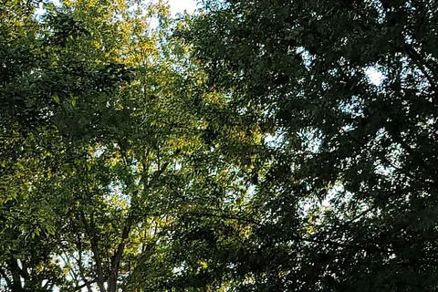 Marion Campground and RV Park