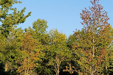 Marion Campground and RV Park