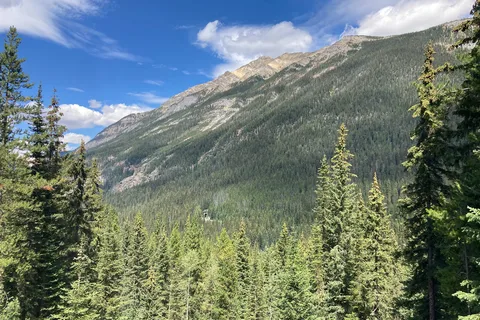 Kicking Horse - Yoho National Park