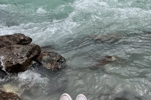 Kicking Horse - Yoho National Park