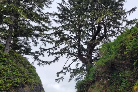 Réserve de parc national Pacific Rim