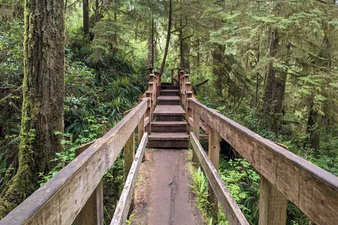 Réserve de parc national Pacific Rim