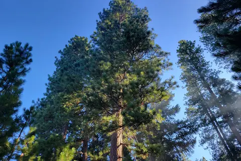 Cool Springs Campground