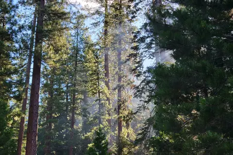 Cool Springs Campground
