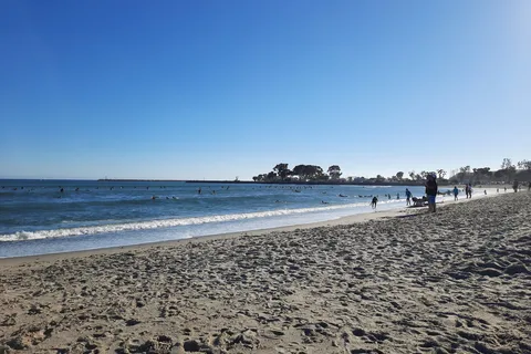 Doheny State Beach
