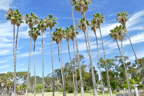 Doheny State Beach