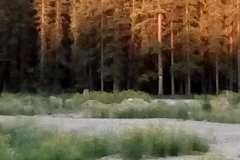 Clearwater Lodge