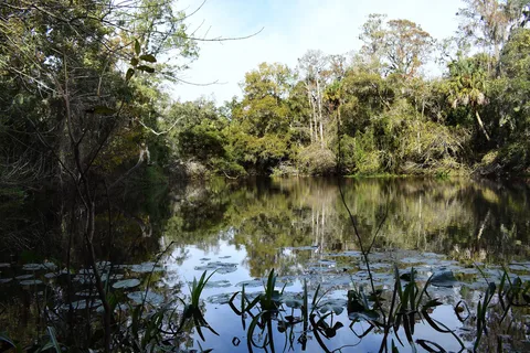Hillsborough River State Park