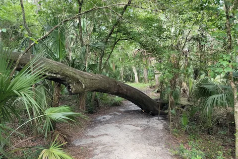 Hillsborough River State Park