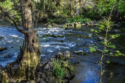 Hillsborough River State Park