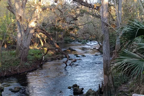 Hillsborough River State Park
