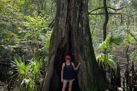 Hillsborough River State Park